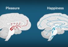 Placere si Durere Placere