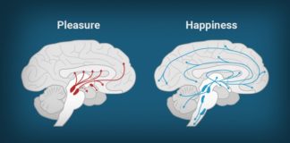 Placere si Durere Placere