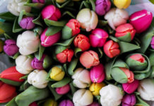 8 martie este in fiecare zi 8 martie