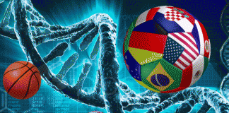 Cum arata ADN-ul unui Fan FAN ADN